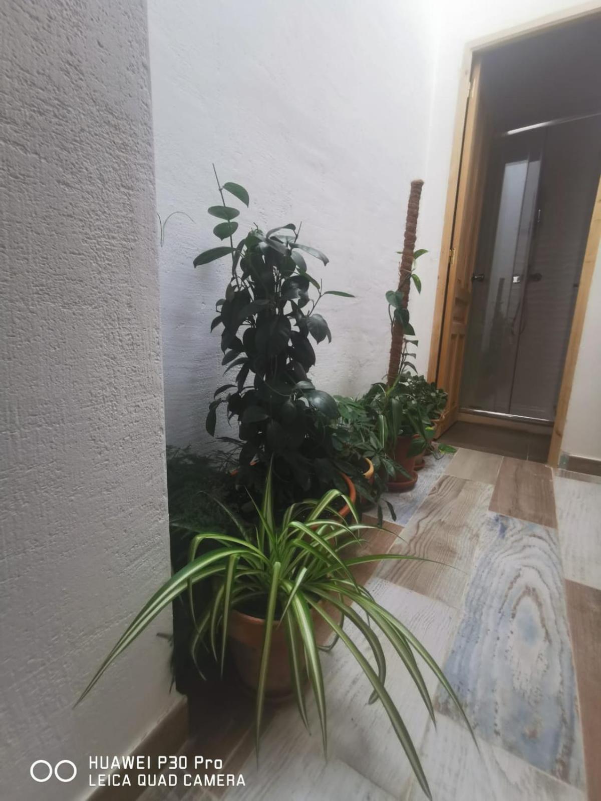 Cassa Beata En La Colina Apartman Cullera Kültér fotó